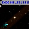 CNOC MS 1621  311399