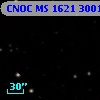 CNOC MS 1621  300106