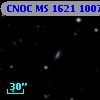 CNOC MS 1621  100746