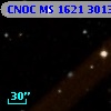 CNOC MS 1621  301331