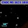 CNOC MS 1621  101015