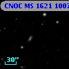 CNOC MS 1621  100753