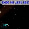 CNOC MS 1621  301281