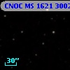 CNOC MS 1621  300251