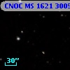 CNOC MS 1621  300599