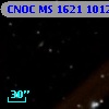CNOC MS 1621  101283
