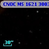 CNOC MS 1621  300307