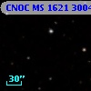 CNOC MS 1621  300493