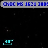 CNOC MS 1621  300836