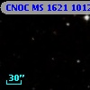 CNOC MS 1621  101248