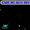 CNOC MS 1621  101445
