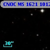 CNOC MS 1621  101281