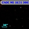 CNOC MS 1621  300313
