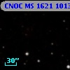 CNOC MS 1621  101346