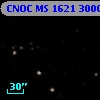 CNOC MS 1621  300095