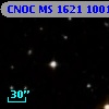 CNOC MS 1621  100156