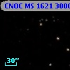 CNOC MS 1621  300006