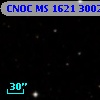 CNOC MS 1621  300295