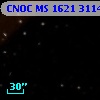 CNOC MS 1621  311417