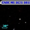 CNOC MS 1621  101179
