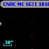 CNOC MS 1621  101611