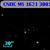 CNOC MS 1621  300175