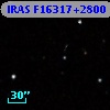 IRAS F16317+2800