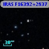 IRAS F16392+2837