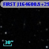 FIRST J164600.8+293238
