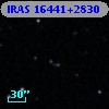 IRAS 16441+2830