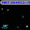FIRST J164432.5+291158