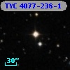 TYC 4077-238-1
