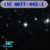 TYC 4077-443-1