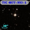 TYC 4077-993-1
