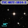 TYC 4077-1014-1
