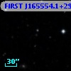 FIRST J165554.1+295151