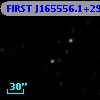 FIRST J165556.1+295503