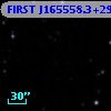 FIRST J165558.3+295637