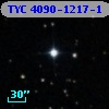 TYC 4090-1217-1