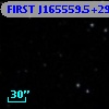 FIRST J165559.5+291913