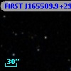 FIRST J165509.9+291804