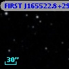 FIRST J165522.8+294455