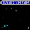 FIRST J165823.6+292130
