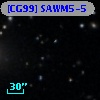 [CG99] SAWM5-5