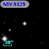NSV  8129