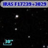 IRAS F17239+3029
