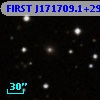 FIRST J171709.1+295033