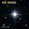 HD  29202