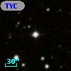 TYC 2082-100-1