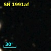 SN 1991af